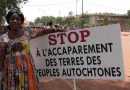 PLUS DE 85 000 HECTARES MENACÉES D’EXPROPRIATION AU CAMEROUN