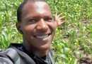 Guinée-Conakry: Mamadou Saliou Baldé veut augmenter sa production de maïs …