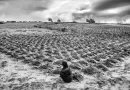 À MADAGASCAR, LA PREMIÈRE FAMINE CLIMATIQUE DU MONDE
