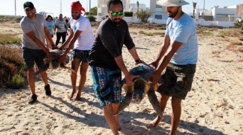 TUNISIE : TROIS TORTUES D’ESPÈCES PROTÉGÉES RELÂCHÉES