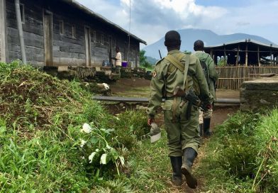 RDC : ATTAQUE MEURTRIÈRE CONTRE LES GARDES DU PARC DES VIRUNGA