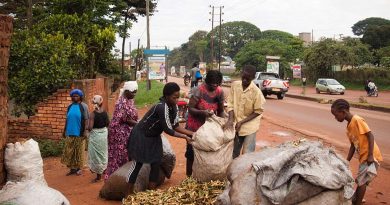 OUGANDA : RECYCLER LES DÉCHETS DE BANANES