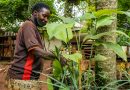 OUGANDA : UN VILLAGE VALORISE LES TRADITIONS ANCESTRALES EN STIMULANT LE TOURISME
